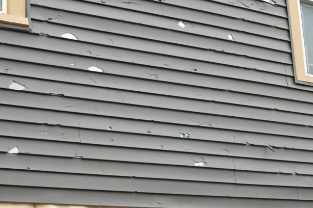 Historical Building Siding Restoration in Camino Tassajara, CA